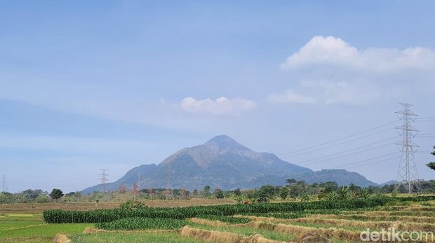 Potret lahan pertanian di Kutorejo, Mojokerto dengan latar belakang Gunung Penanggungan Potret lahan pertanian di Kutorejo, Mojokerto dengan latar belakang Gunung Penanggungan