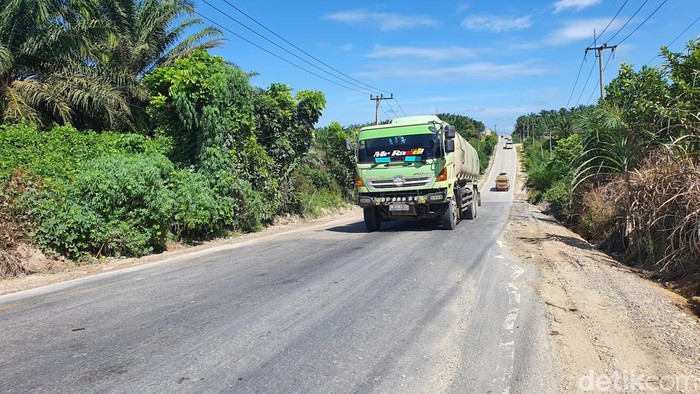 Rute Tour de Siak bergelombang (Raja/detikSumut)
