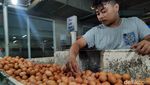 Harga Telur Cs Melonjak, Inflasi November Tembus 5,42%