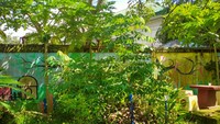 Selain kondisi alat permainan yang memprihatinkan, di taman bermain ini juga dipenuhi tumbuhan liar yang menjalar. (Foto : Faruk)