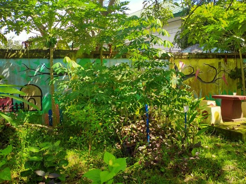 Kondisi Taman Bermain Anak di Dompu NTB yang tak terawat dan dipenuhi semak dan tanaman menjalar