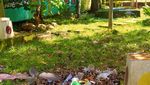 Potret Miris Taman Bermain di Dompu, Jorok-Tak Ramah Anak