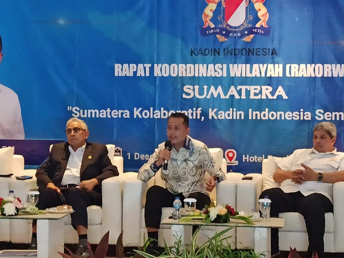 Wagub Sumut Musa Rajekshah