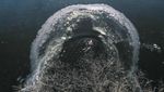 Warga China Santai Berenang di Danau Es, Kok Tahan ya?