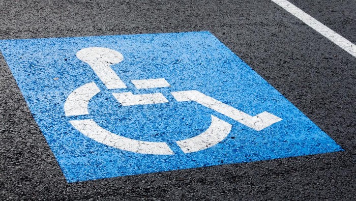 Apa itu Disabilitas