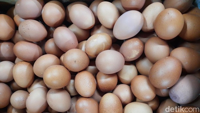 harga telur di surabaya naik