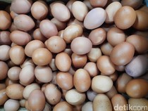 Kenaikan Harga Telur Picu Inflasi 0,46% di Jatim pada Desember 2024