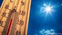 Gelombang Panas Eropa Pecahkan Rekor, Suhu Portugal Capai 40,3 Celcius