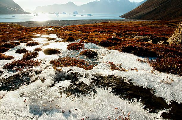 Permafrost di Siberia