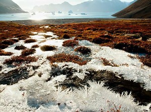 Siberia, Daratan Beku Dunia yang Simpan Virus Zombie