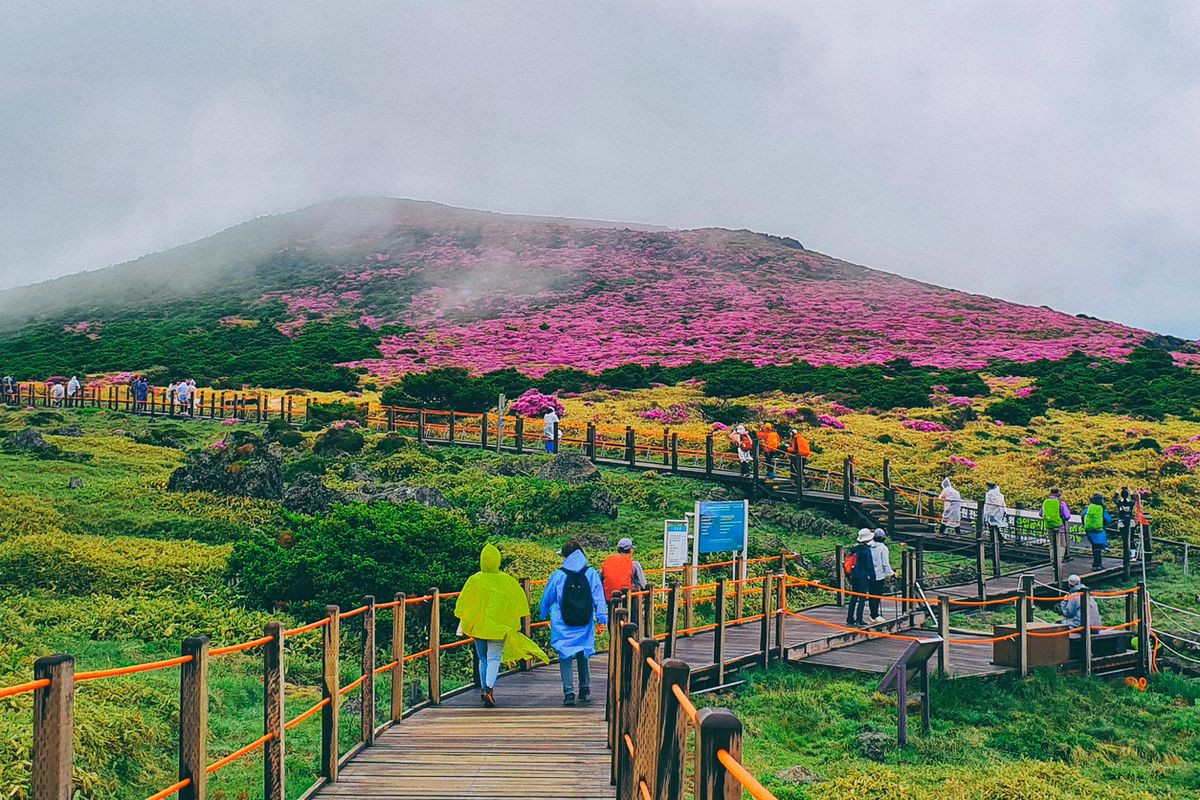 Pulau Jeju Geger Penemuan 4 Mayat, Begini Pesona Destinasi Drakor Ini