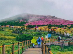 Wisata Alam Korea Selatan yang Jadi Lokasi Favorit Syuting Drakor