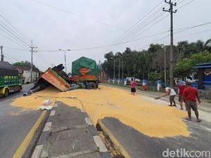 Terobos Razia di Jembatan Timbang Mojokerto, Truk Muat Jagung Terguling