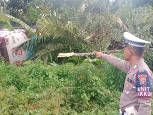 Gegara Rem Blong, Truk Tangki BBM Terbalik ke Kebun Salak di Tapsel