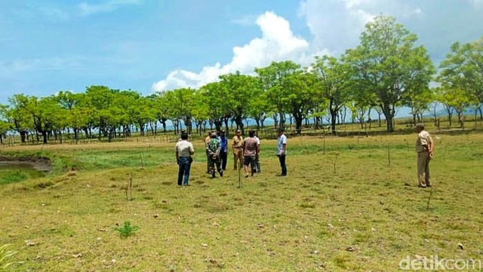 Wisata Savana Beach tengah disipakan di Banywuangi