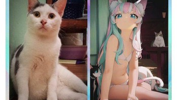 Kucing jadi cewek. Foto: Twitter