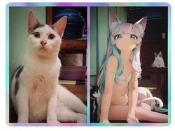 Kocak dan Bikin Ngakak! Ketika Aplikasi Filter Anime Salah Edit Foto