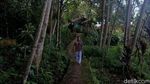 Kala Matahari Datang Kesiangan di Kampung Heubeul Isuk Bandung