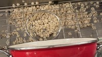Berencana makan malam dengan pasta yang al dente, netizen ini terpaksa merebus ulang makanannya. Saat akan ditirkan tragedi tumpahnya saringan membuat dirinya gagal makan malam. Foto: Brightside