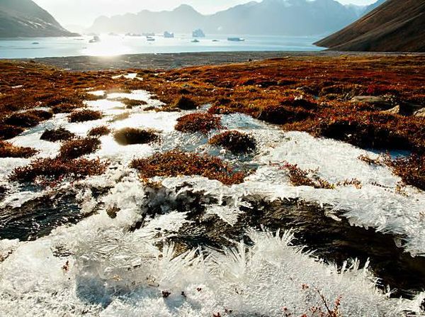 Bentuk Permafrost, Tempat Ditemukannya Virus Zombie Berumur 48 Ribu Tahun