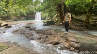 Pengunjung bisa langsung menikmati suasana asri kawasan Air Terjun Pelangi Jonjo Parigi ini. Pepohonan yang rimbun menyambut mata seolah berada di tengah hutan. Foto: (Andi Nur Isman/detikSulsel)