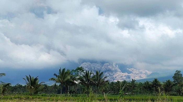 Awan Panas Gunung Semeru Terjang Jembatan Gladak Perak Gunung Semeru di Lumajang, Jawa Timur, kembali erupsi hingga memuntahkan awan panas, Minggu (4/12). Saat ini awan panas itu telah menerjang Jembatan Gladak Perak.