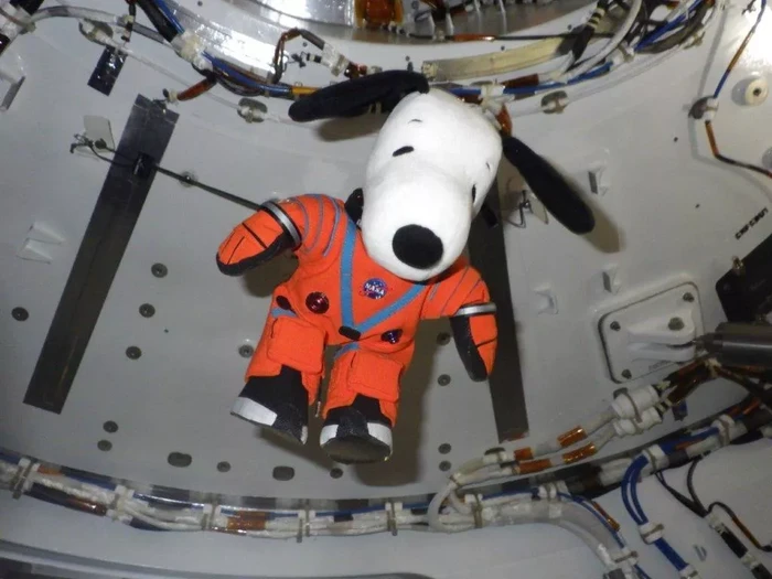Boneka Snoopy di pesawat Orion (NASA)