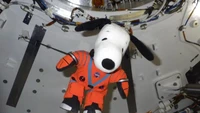 Boneka Snoopy disertakan dalam pesawat Orion dalam Misi Artemis I NASA.Snoopy diikat di salah satu bagian pesawat, sebagai indikator nol gravitasi. Sebagai indikator, Snoopy dipakaikan baju astronaut berwarna oranye yang kontras dengan interior Orion yang didominasi hitam-putih.Snoopy dipilih karena karakter ini dinilai menginspirasi dan semangat atas penjelajahan manusia di luar angkasa selama lebih dari 50 tahun.Foto: (Tangkapan layar YouTube NASA)