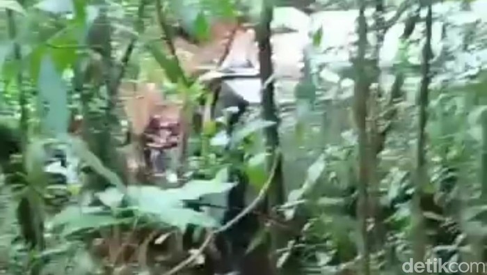 Bus masuk jurang Magetan