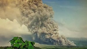 Semeru Erupsi, Jadwal Penerbangan dan Penyeberangan Masih Normal