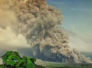Gunung Semeru Erupsi, Operasi Bandara Juanda & Abdulrachman Saleh Masih Normal