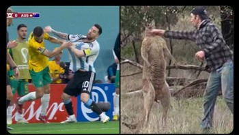 Argentina menghajar Australia jadi mengingatkan meme pria yang meninju kanguru. Foto: Screenshot/Twitter