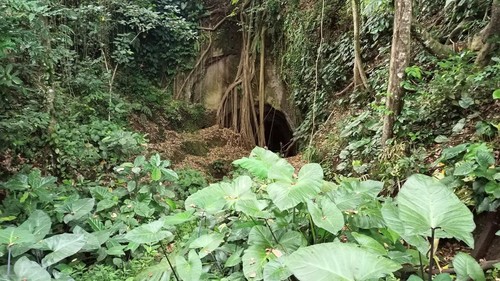 Mulut goa raksasa di Sanggulan yang kisahnya melekat dengan kepercayaan masyarakat adat setempat berpantang makan sayur atau buah Timbul atau Tiwul. (chairul amri simabur/detikBali)