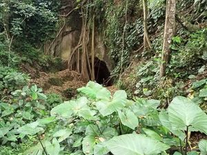 Kisah Goa Raksasa Sanggulan dan Pantangan Makan Timbul
