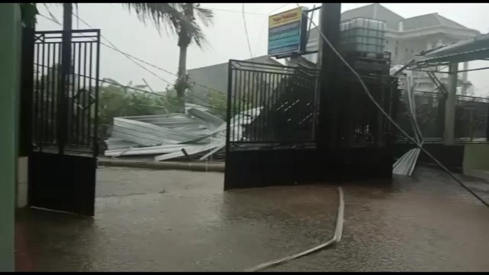 pohon tumbang di tulungagung