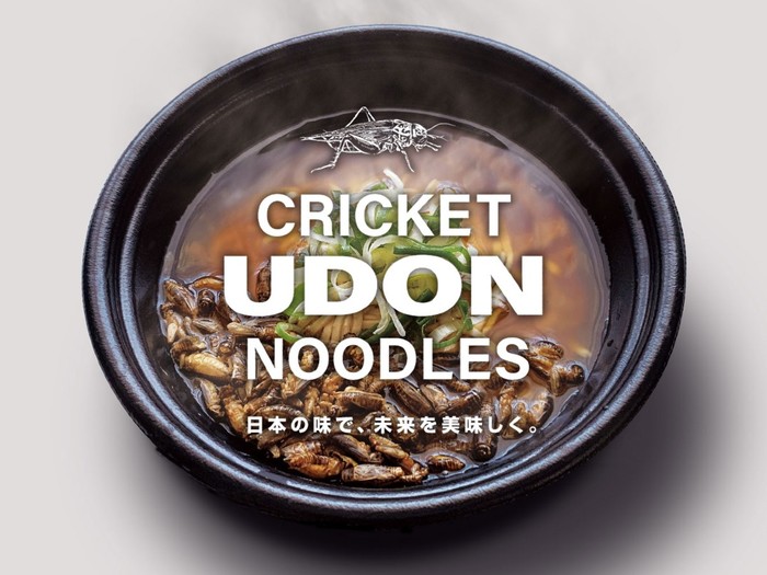 Unik! Udon Instan Ini Diolah dengan Tambahan 100 Ekor Jangkrik
