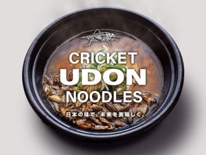 Unik! Udon Instan Ini Diolah dengan Tambahan 100 Ekor Jangkrik