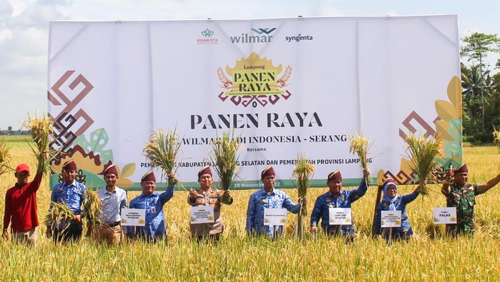 Jurus Wilmar Padi Tingkatkan Produktivitas Padi Lewat Penerapan GAP Jurus Wilmar Padi Tingkatkan Produktivitas Padi Lewat Penerapan GAP
