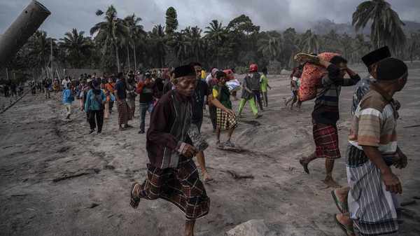 Pada tahun 2021, tercatat 51 orang meninggal, 169 luka-luka dan 22 orang hilang akibat letusan Gunung Semeru pada tahun 2021 lalu. (Juni Kriswanto/AFP/Getty Images)  