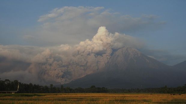 Apa penyebab erupsi gunung? Erupsi merupakan letusan dari gunung api yang aktif. Biasanya, erupsi berbentuk lava, gas, abu, dan lain-lain.