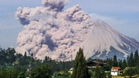 Gunung Sinabung berada di Kabupaten Karo Provinsi Sumatera Utara. Gunung dengan ketinggian 2.460 meter dari permukaan laut ini pada tahun 1912 mengalami aktivitas solfatara di puncak dan lereng atas. Sementara pada tahun 2010, terjadi beberapa kali letusan yang di antaranya merupakan letusan freatik. (Sugeng Nuryono/AFP/Getty Images)