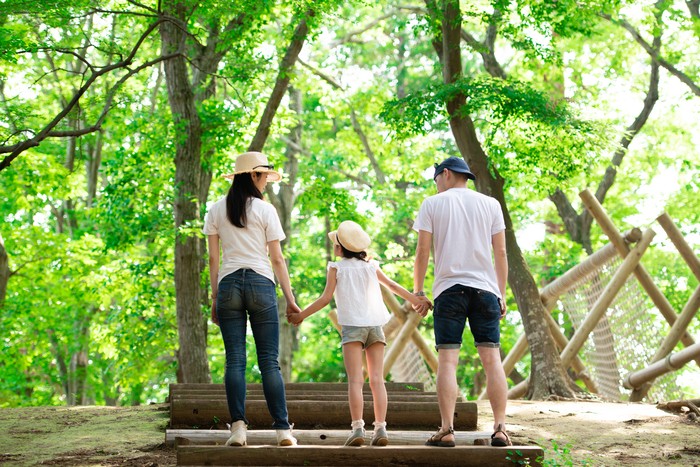 Father, mother and daughter holding hands in forest park
