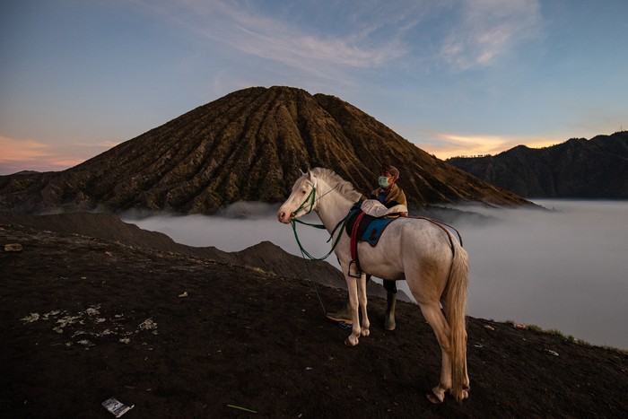 PROBOLINGGO, JAVA, INDONESIA - JUNE 26: An Indonesian man bring a horse at Mount Batok during the Yadnya Kasada ritual on June 26, 2021 in Probolinggo, Java, Indonesia. The Tenggerese people are an ethnic group in Eastern Java, Indonesias most populous island, who believe themselves to be descendants of the Majapahit princes that ruled the area historically. Their population of roughly 500,000 is centered in the Bromo Tengger Semeru National Park in eastern Java. The ethnic groups most popular ceremony, the month-long Yadnya Kasada festival, was the most visited tourist attraction in Indonesia before the Covid-19 pandemic. On the fourteenth day, the Tenggerese make a journey to Mount Bromo to make offerings of rice, fruits, vegetables, flowers and even livestock and poultry, throwing them into the volcanos caldera. The ritual is thought to have started in the 15th century, when a local princess and her husband prayed to the mountain gods for help in having children. (Photo by Robertus Pudyanto/Getty Images)
