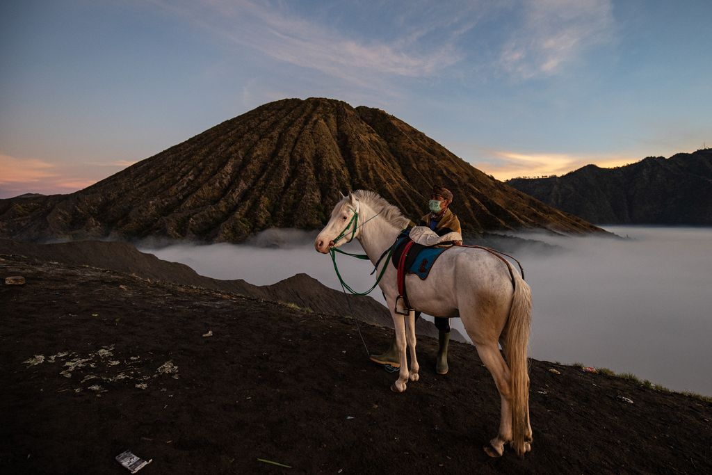 PROBOLINGGO, JAVA, INDONESIA - JUNE 26: An Indonesian man bring a horse at Mount Batok during the Yadnya Kasada ritual on June 26, 2021 in Probolinggo, Java, Indonesia. The Tenggerese people are an ethnic group in Eastern Java, Indonesia's most populous island, who believe themselves to be descendants of the Majapahit princes that ruled the area historically. Their population of roughly 500,000 is centered in the Bromo Tengger Semeru National Park in eastern Java. The ethnic group's most popular ceremony, the month-long Yadnya Kasada festival, was the most visited tourist attraction in Indonesia before the Covid-19 pandemic. On the fourteenth day, the Tenggerese make a journey to Mount Bromo to make offerings of rice, fruits, vegetables, flowers and even livestock and poultry, throwing them into the volcano's caldera. The ritual is thought to have started in the 15th century, when a local princess and her husband prayed to the mountain gods for help in having children. (Photo by Robertus Pudyanto/Getty Images)