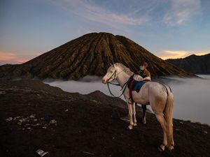 Mau Libur Nataru ke Bromo, Ada Car Free Day 23-24 Desember