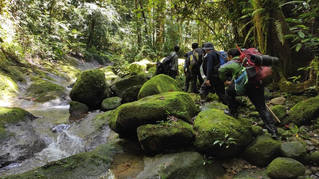 Katak Pelangi