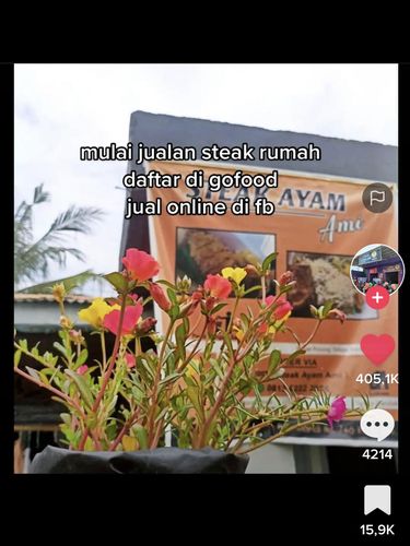 Kisah wanita yang sukses membangun usaha viral di media sosial.