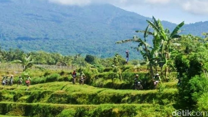 Ladang warga di lereng Gunung Raung tempat kemunculan diduga macan tutul liar