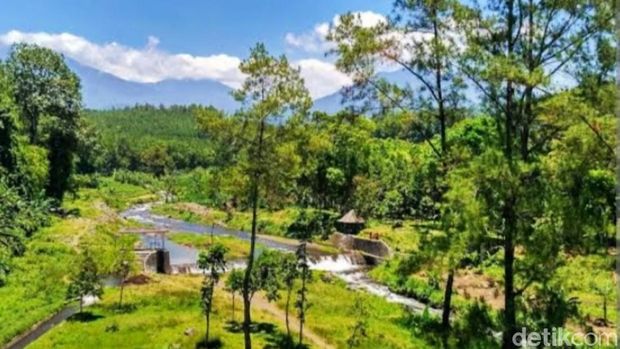Ladang warga di lereng Gunung Raung tempat kemunculan diduga macan tutul liar