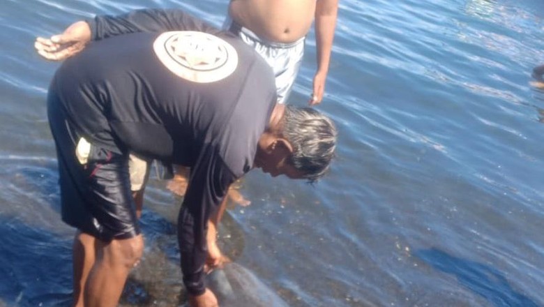 Warga saat menemukan lumba-lumba terdampar di Pantai Penimbangan, Buleleng